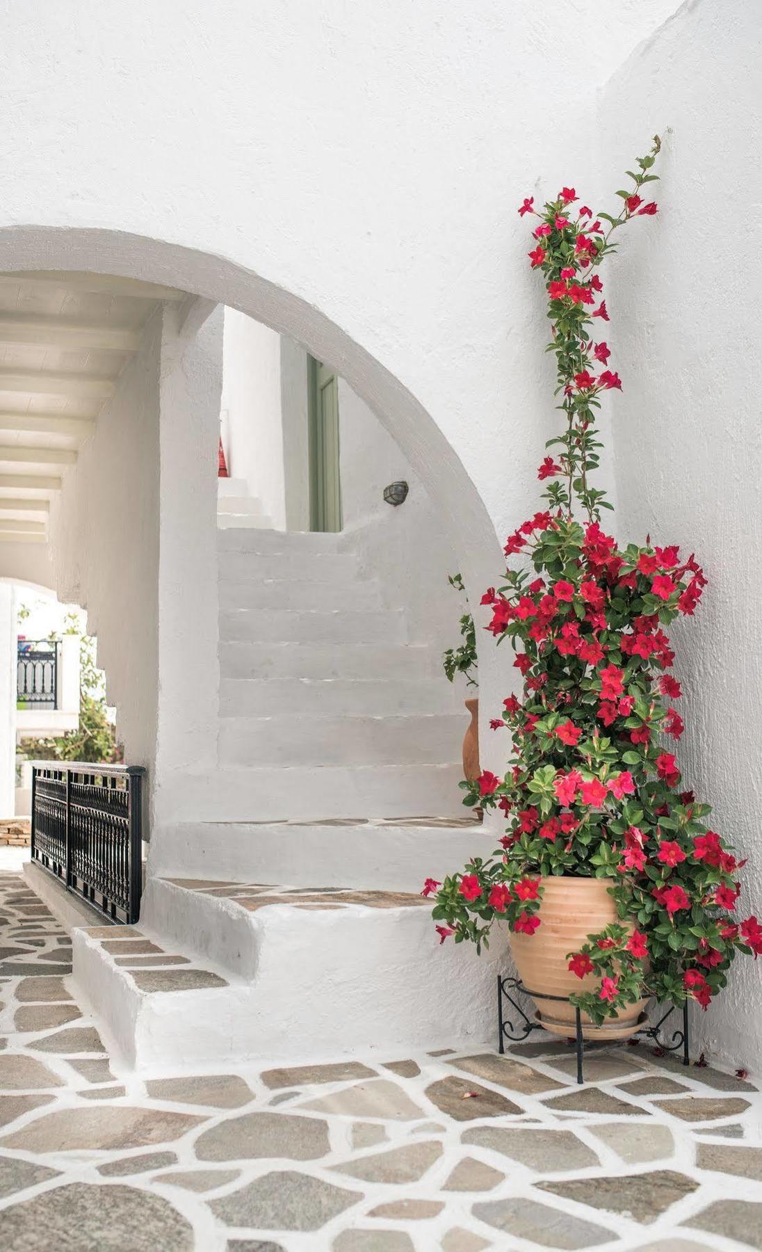 纳斯塔西娅公寓式酒店 Naxos City 外观 照片