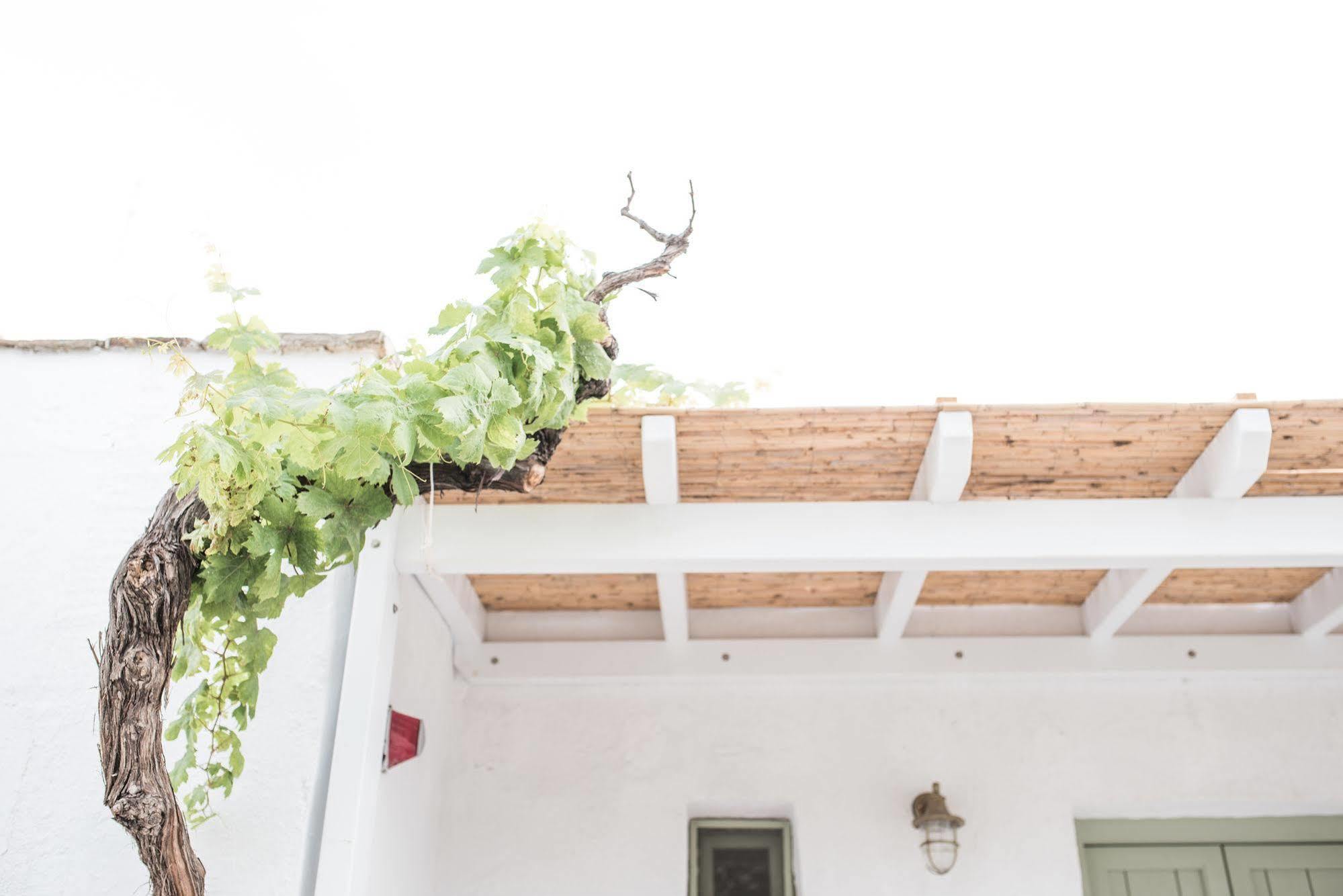 纳斯塔西娅公寓式酒店 Naxos City 外观 照片